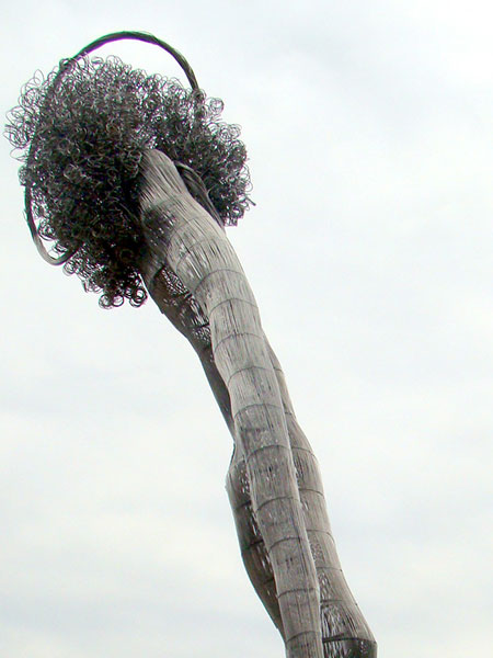 Blowin’ in the wind