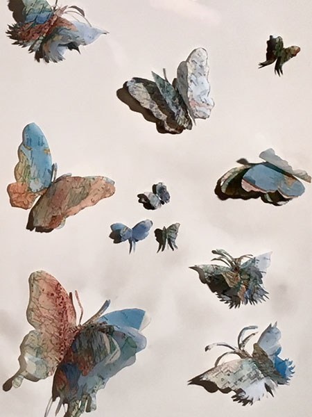 Butterflies